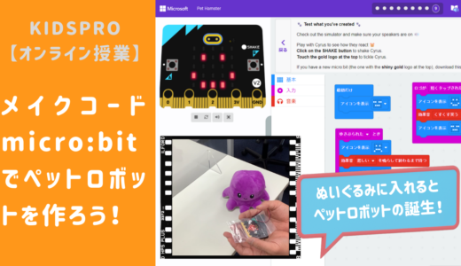 【オンライン講座】初めてのMakeCode for micro:bit：ペットロボットを作ろう！